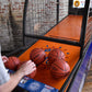 Pop-A-Shot Elite
